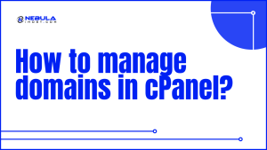 Read more about the article How to manage domains in cPanel